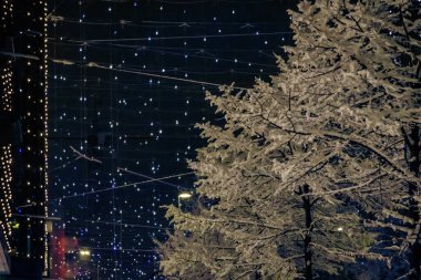 Iconic Lucy İsviçre 'nin Zürih kentindeki Bahnhofstrasse' yi aydınlatıyor, mevsimin ilk kar yağışı sırasında karla kaplı sokağa ışık saçıyor.