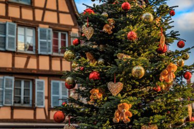Fransa, Colmar Noel Pazarı 'nda takı ve oyuncak ayı süsüsüyle süslenmiş Noel ağacı. Arka planda yarım ahşap çerçeveli evler.