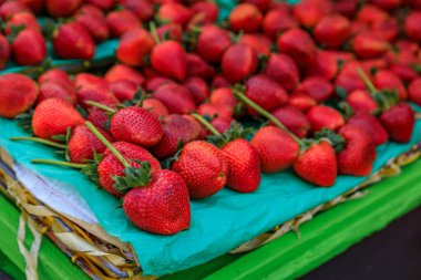 San Francisco, Kaliforniya 'daki bir çiftçi pazarında yeşil çizgili bir stantta yığınla taze, büyük kırmızı çilek sergileniyor.