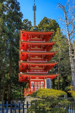 Canlı kırmızı ve beyaz beş katlı pagoda, San Francisco 'daki Golden Gate Parkı' ndaki Japon Çay Bahçesi 'nde yemyeşil ağaçların arasında duruyor.