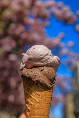 İki kepçe zengin çikolata ve taze bir waffle külahında meyveli dondurma. İsviçre 'nin Zürih şehrinde canlı bir bahar çiçeklerine karşı.