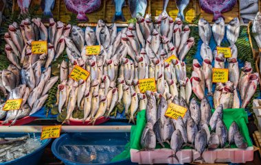 Türkiye 'nin İstanbul kentindeki işlek bir pazarda, buzda buzlu balık ve deniz kebabı ve uskumru da dahil olmak üzere çeşitli taze balık seçimleri düzenlendi.