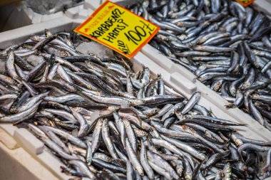 Türkiye 'nin İstanbul kentindeki Karaköy kentindeki canlı balıkçıların pazarında satılık taze ançüezlerin yakın plan görüntüsü