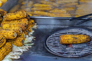 Popüler Türk sokak yemekleri, misir, koçanda taze haşlanmış tatlı mısır, kömür ızgarasında kızartılmış ve tuz ve baharat serpiştirilmiş, İstanbul, Türkiye