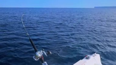 Kosta Blanca 'da olta kamışı ve makaralı tekne gezisi çarpıcı kıyı şeridi boyunca balığa çıkın, sakin denizin ve manzaranın tadını çıkarın.