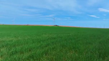 İspanya 'da berrak mavi gökyüzünün altında canlı yeşil buğday gevreği tarlaları, sürdürülebilir enerjiyi ön plana çıkaran rüzgar türbini jeneratörleri.