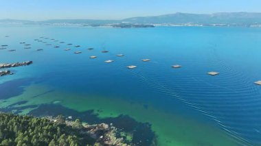 Galiçya 'nın Rias Baixas nehrinden Arosa Arousa Nehri midye su kültürü tarlaları bateas