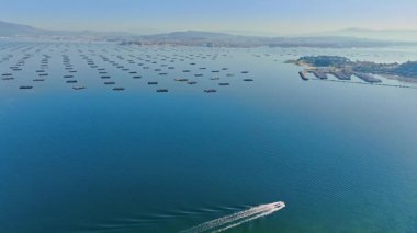 Galiçya 'nın Rias Baixas nehrinden Arosa Arousa Nehri midye su kültürü tarlaları bateas
