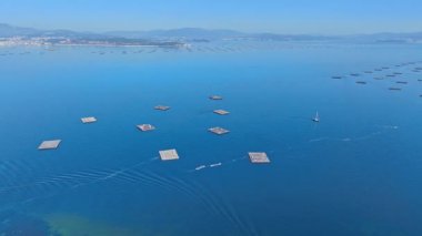 Galiçya 'nın Rias Baixas nehrinden Arosa Arousa Nehri midye su kültürü tarlaları bateas