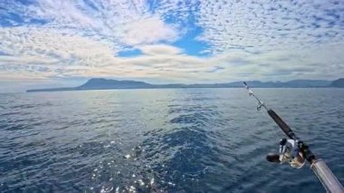 Akdeniz 'de mavi gökyüzünün altında tuzlu su oltası ve olta balığı.