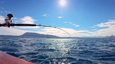 Akdeniz 'de mavi gökyüzünün altında tuzlu su oltası ve olta balığı.