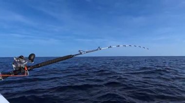 Akdeniz 'de mavi gökyüzünün altında tuzlu su oltası ve olta balığı.