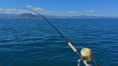 Ton balıklarıyla avlanan balıkçılar, balık ve martılar avlar.