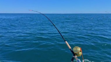 Ton balıklarıyla avlanan balıkçılar, balık ve martılar avlar.