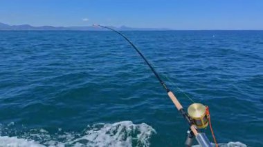 Ton balıklarıyla avlanan balıkçılar, balık ve martılar avlar.