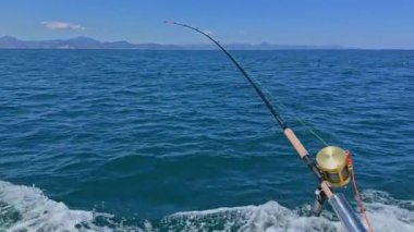 Ton balıklarıyla avlanan balıkçılar, balık ve martılar avlar.