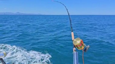 Ton balıklarıyla avlanan balıkçılar, balık ve martılar avlar.