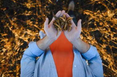 Tarımcı ya da çiftçi soya fasulyesi tarlasını inceliyor.