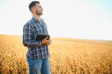 Agronomist tarlada yetişen soya fasulyesi ekinlerini inceliyor. Tarım üretim konsepti. Genç tarımcı yazın tarlada soya fasulyesi mahsulünü inceliyor. Soya tarlasında çiftçi