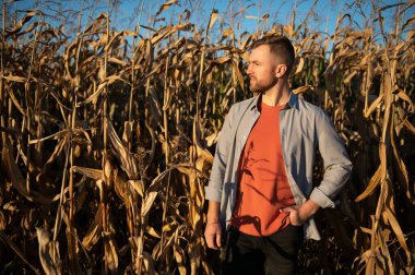 Genç Çiftçi hasat sırasında Mısır tohumu Mısır alanları incelemek.