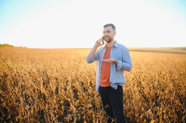 Soya tarlasını denetleyen çiftçi ya da tarım uzmanı.