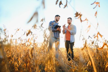 İki çiftçi tarlada durup soya fasulyesi hasadını yapmadan önce tarlaları inceliyor.