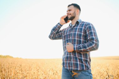 Agronomist tarlada yetişen soya fasulyesi ekinlerini inceliyor. Tarım üretim konsepti. Genç tarımcı yazın tarlada soya fasulyesi mahsulünü inceliyor. Soya tarlasında çiftçi