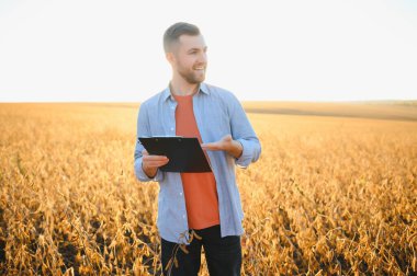 Soya tarlasını denetleyen çiftçi ya da tarım uzmanı.