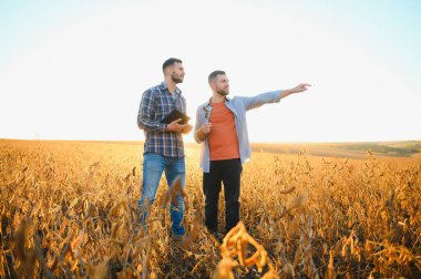 Soya mahsulünü inceleyen iki çiftçinin portresi..