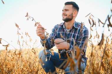 Soya tarlasını denetleyen çiftçi ya da tarım uzmanı.