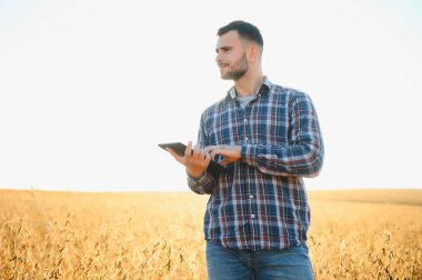 Soya tarlasını denetleyen çiftçi ya da tarım uzmanı.