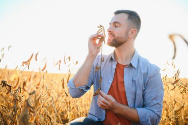 Soya tarlasını denetleyen çiftçi ya da tarım uzmanı.