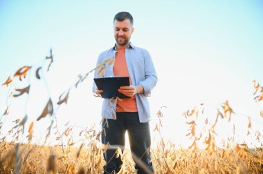 Agronomist tarlada yetişen soya fasulyesi ekinlerini inceliyor. Tarım üretim konsepti. Genç tarımcı yazın tarlada soya fasulyesi mahsulünü inceliyor. Soya tarlasında çiftçi