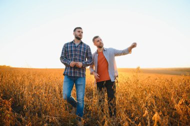 Soya mahsulünü inceleyen iki çiftçinin portresi..