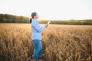 Yaz mevsiminde soya tarlasında duran genç çiftçi kadın, elinde tablet tutarak ekinlerin büyümesini izliyor..