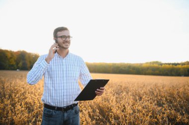 Soya tarlasında dikilen çiftçinin portresi gün batımında mahsulü inceliyor.