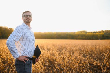 Agronomist tarım tarlasında soya fasulyesi hasadını teftiş ediyor - tarım kavramı - çiftlik soya fasulyesi tarlasında çiftçi.