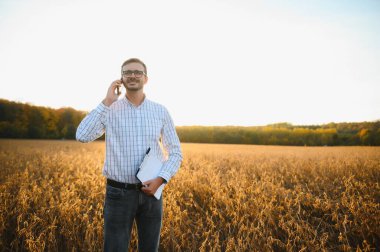 Agronomist tarım tarlasında soya fasulyesi hasadını teftiş ediyor - tarım kavramı - çiftlik soya fasulyesi tarlasında çiftçi.