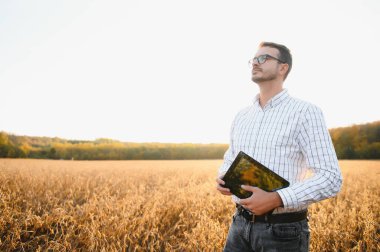 Soya tarlasında dikilen çiftçinin portresi gün batımında mahsulü inceliyor.