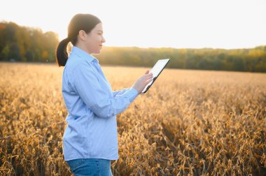 Genç bir kadın çiftçi gün batımında soya tarlasında çalışıyor.