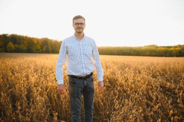 Soya tarlasında dikilen çiftçi gün batımında mahsulü inceliyor.