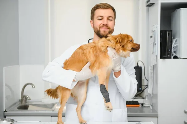 Σκυλί Κτηνίατροι Στην Κλινική — Φωτογραφία Αρχείου