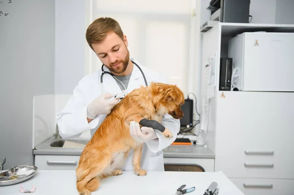Minha Melhor Paciente Veterinário Masculino Alegre Uniforme Trabalho Segurando Cão — Fotografia de Stock