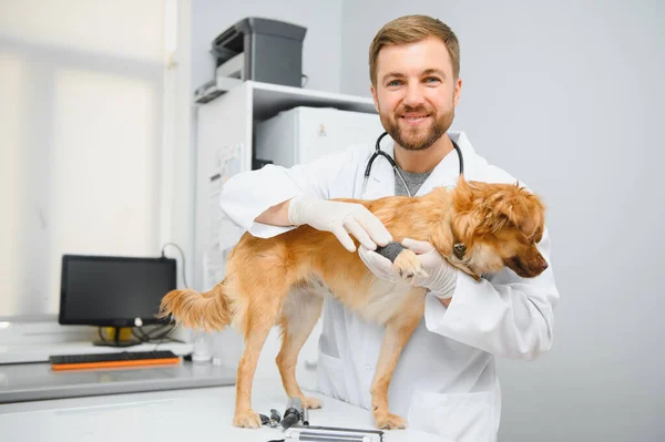 Καλύτερος Ασθενής Μου Χαρούμενο Αρσενικό Κτηνίατρο Στολή Εργασίας Κρατώντας Ένα — Φωτογραφία Αρχείου