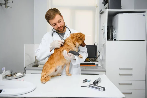 Ευτυχής Κτηνίατροι Εξέταση Σκυλί Στην Κλινική — Φωτογραφία Αρχείου