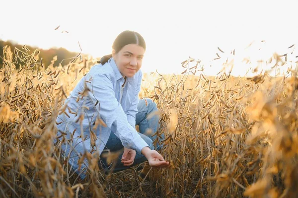 Portrait Young Female Farmer Standing Soybean Field Examining Crop — Stock Photo, Image