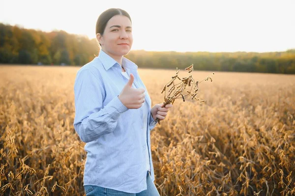 現場で大豆植物を調査する女性農家 農学者 — ストック写真