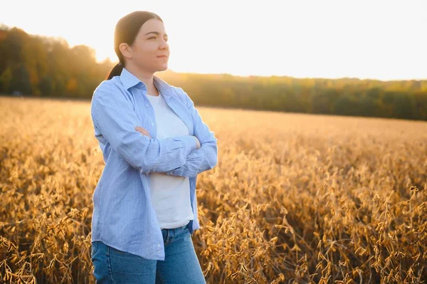 Caucasian Female Farm Worker Inspecting Soy Field Summer Evening Time — Stock Photo, Image