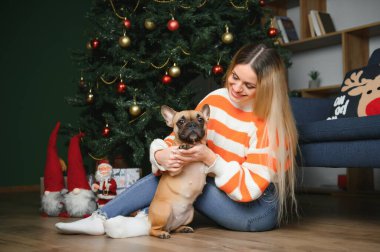 Sahibi olan küçük köpek oynuyor ve eğleniyor. Genç kız evcil hayvanıyla kanepede oturuyor. Arka planda Noel ağacı var. yumuşak seçici odak.