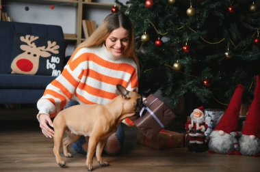 Sahibi olan küçük köpek oynuyor ve eğleniyor. Genç kız evcil hayvanıyla kanepede oturuyor. Arka planda Noel ağacı var. yumuşak seçici odak.